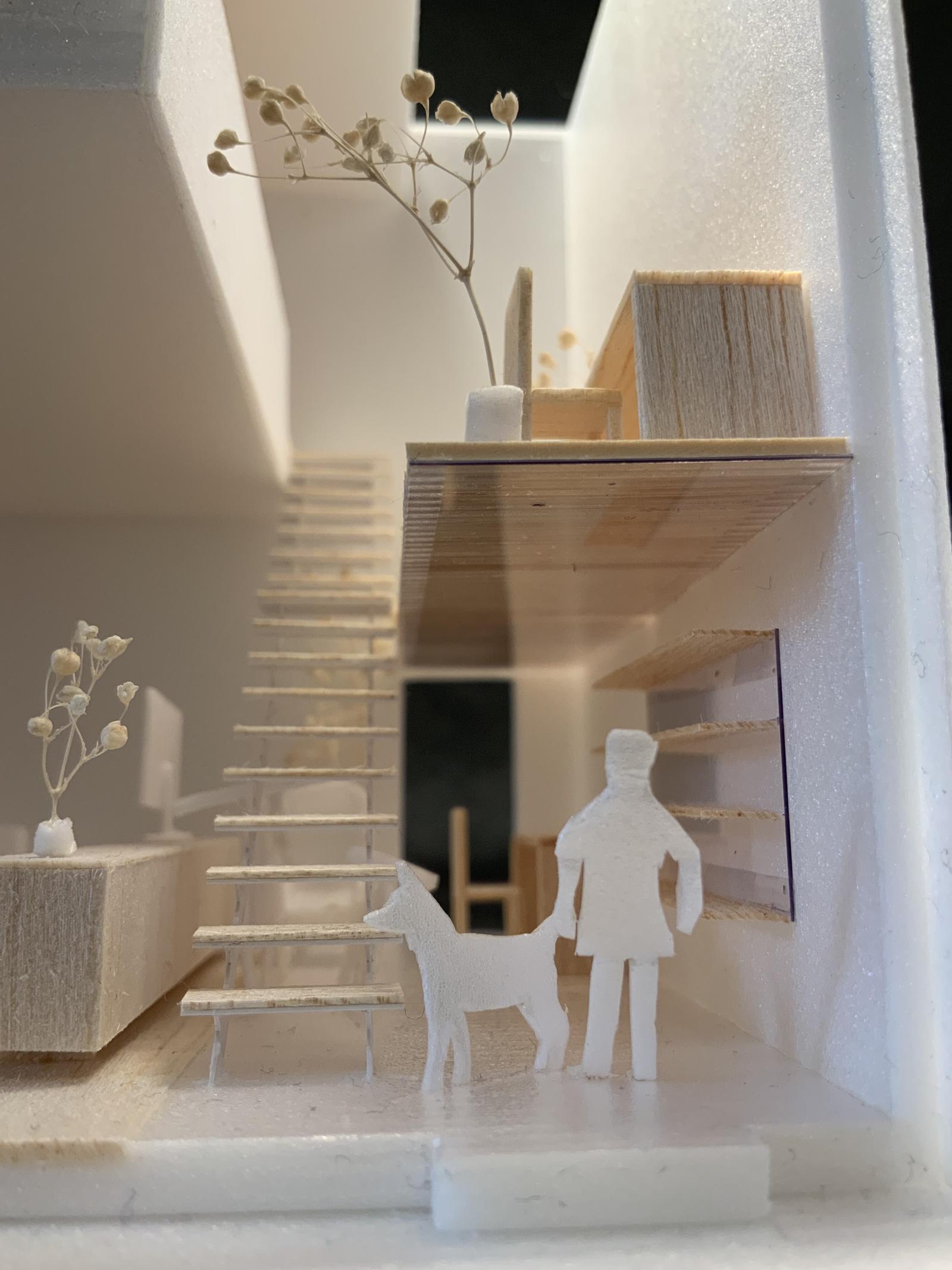 Skywell house 1.50 section model SHIP Architects  (3)