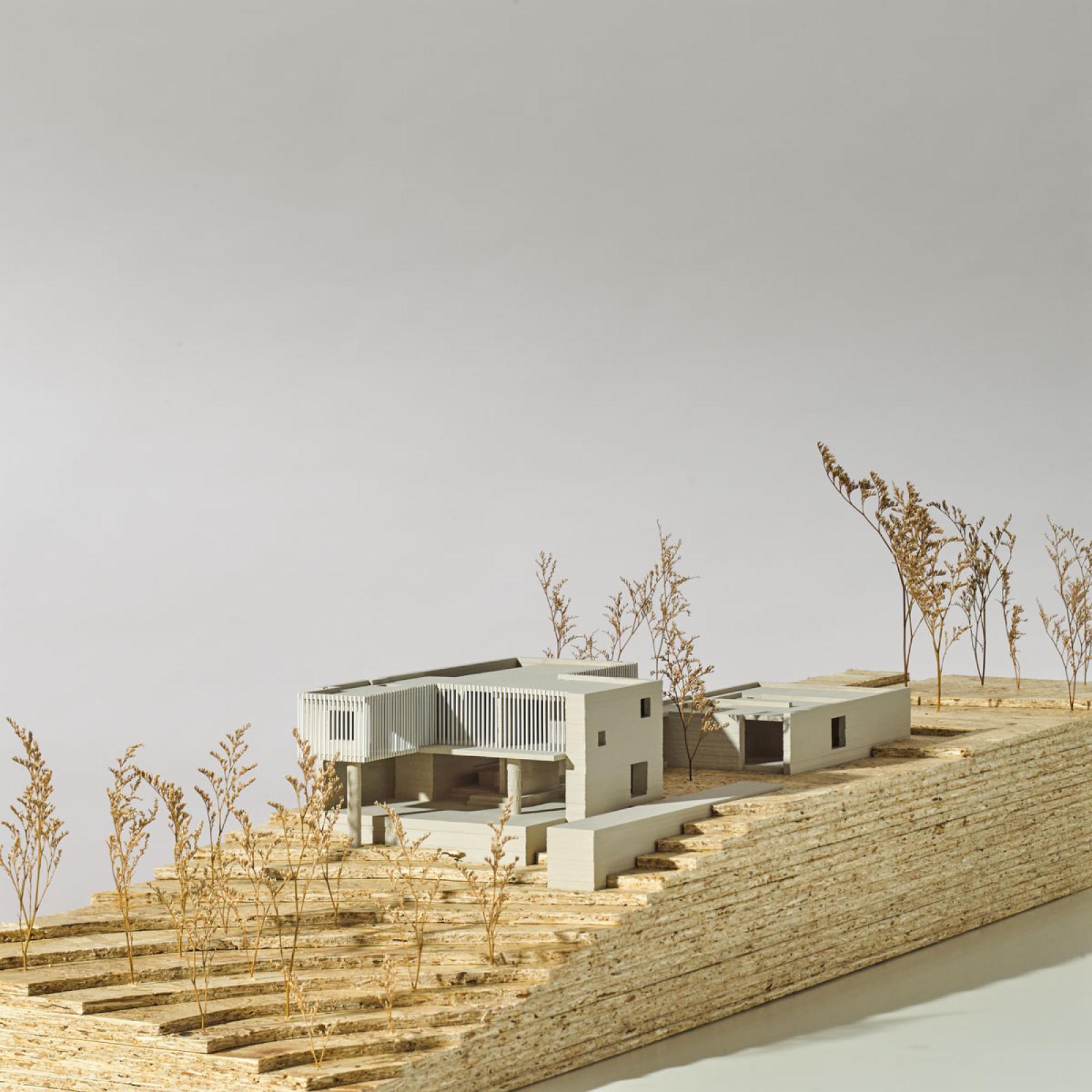 Tristan Burfield Models