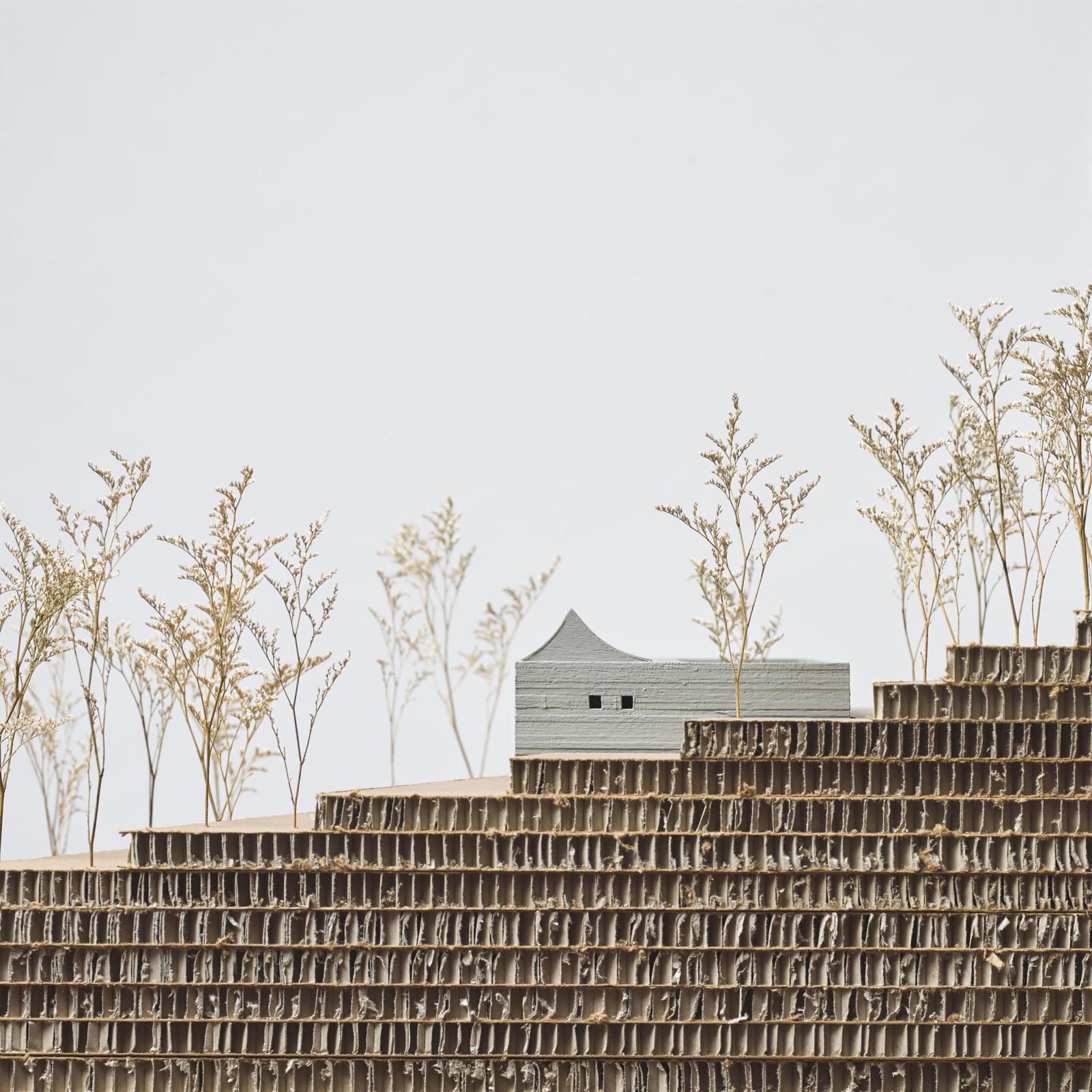 Tristan Burfield Models