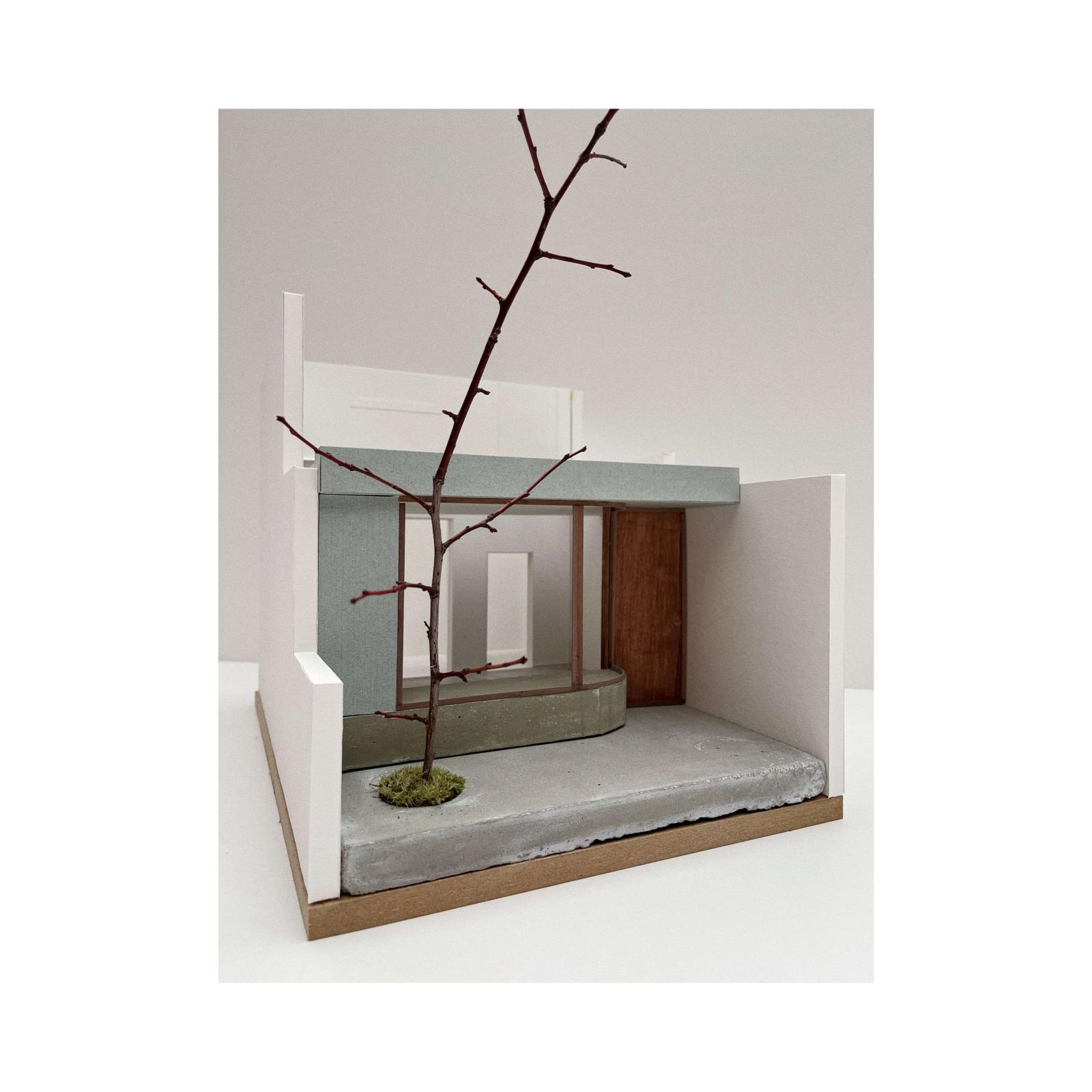 project_25022 : vue from the garden 02