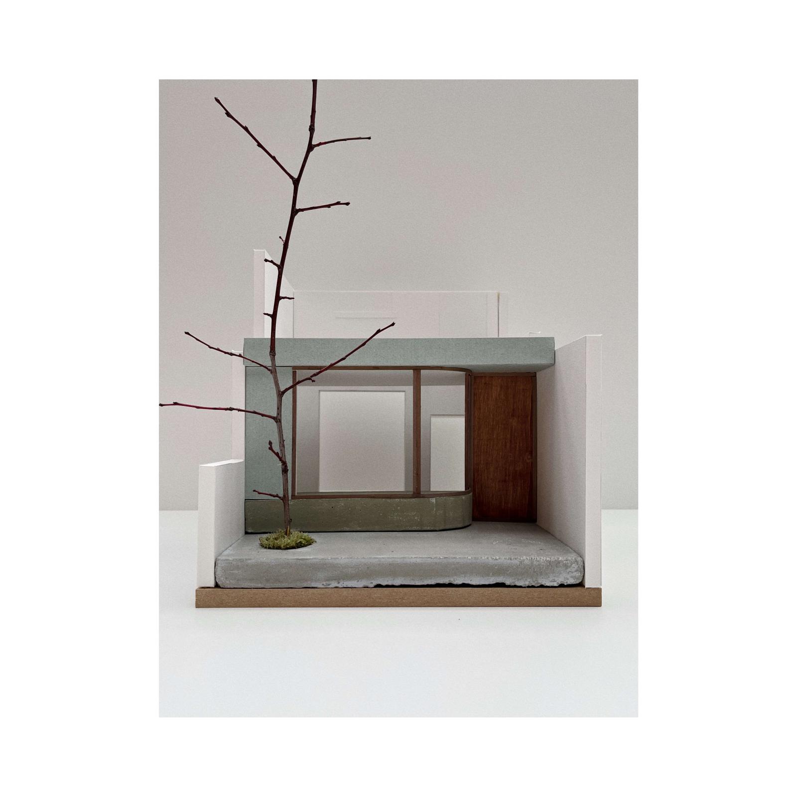 project_25022 : vue from the garden 03