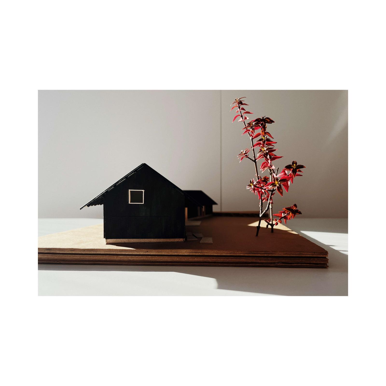 project_23041 : vue from the main entrance