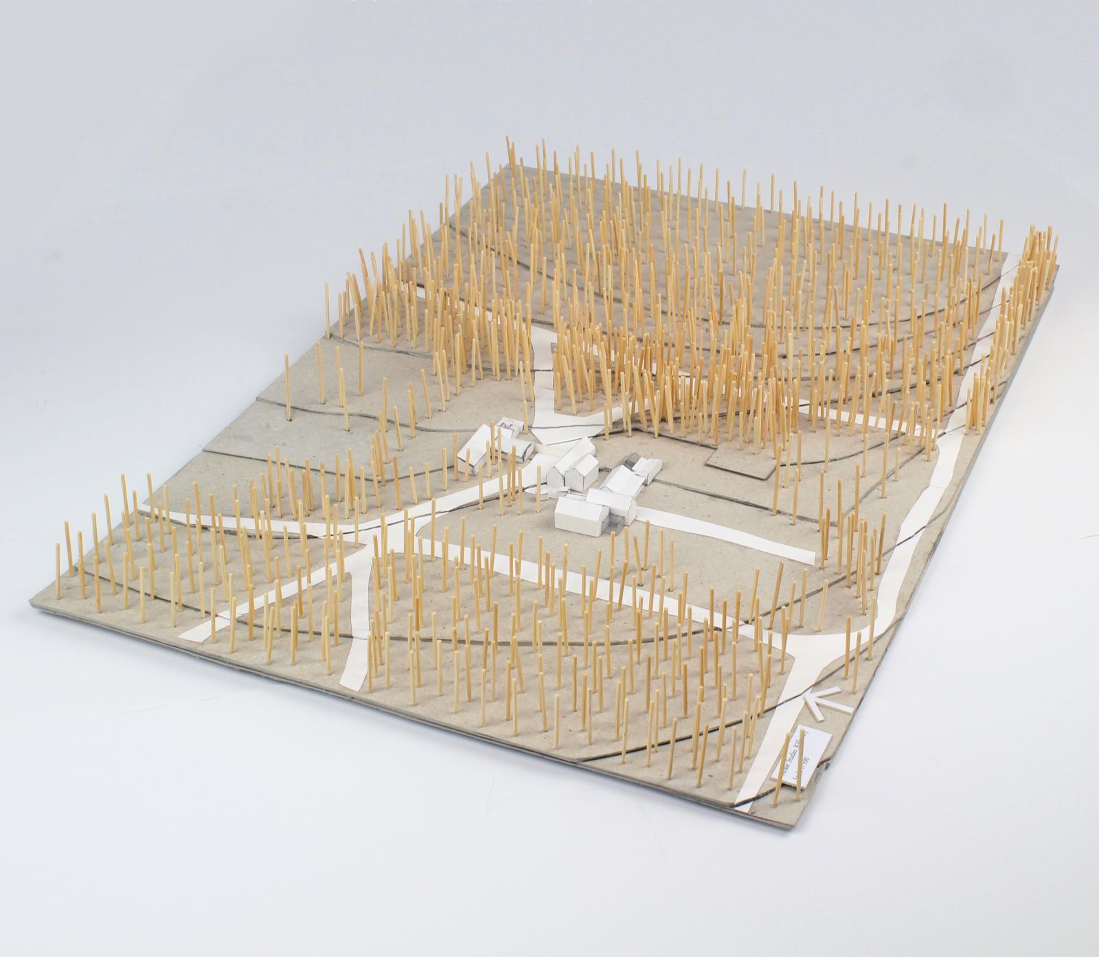 Mosse Woodland Studio Site Context Model  / 1 : 500