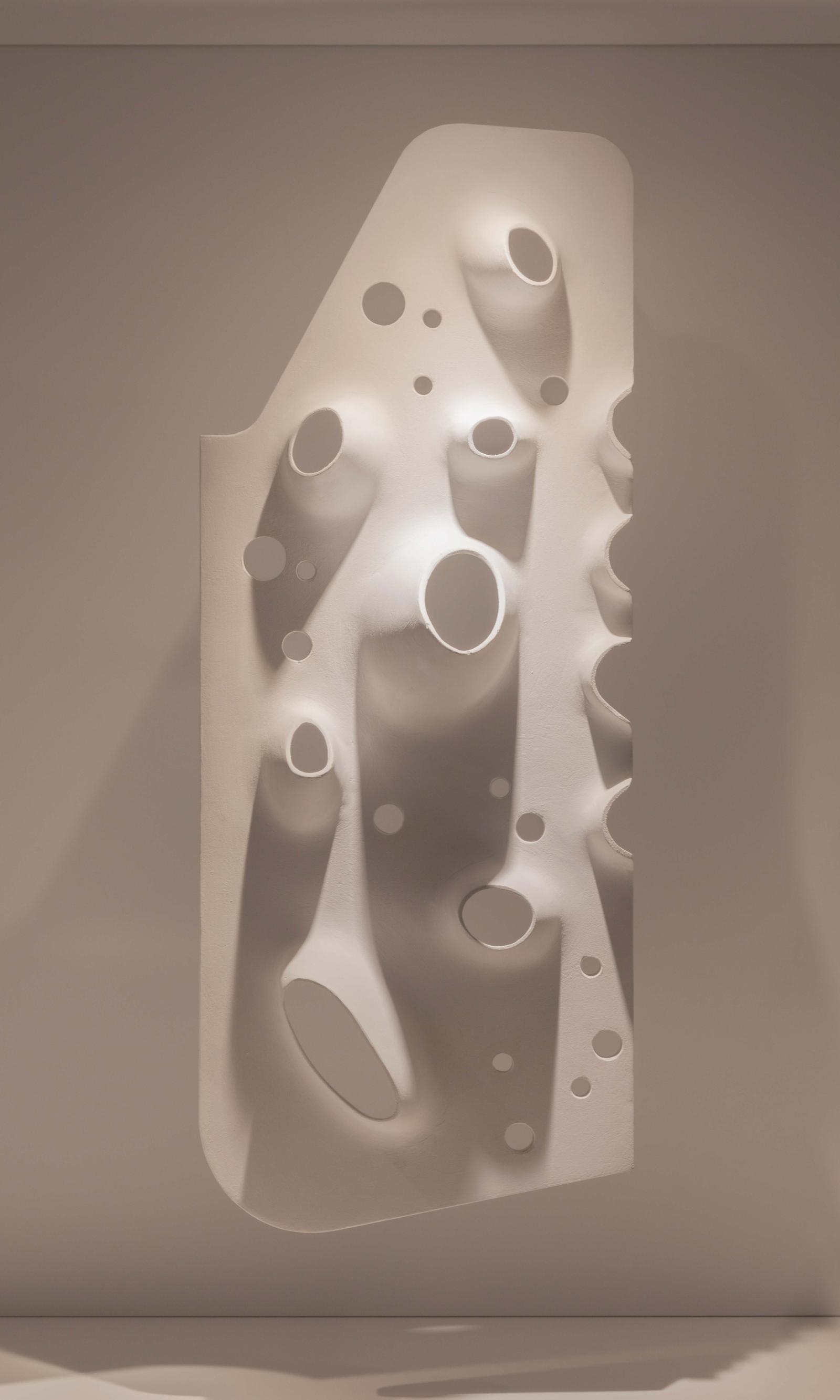 Roof proposal - Exhibit Model