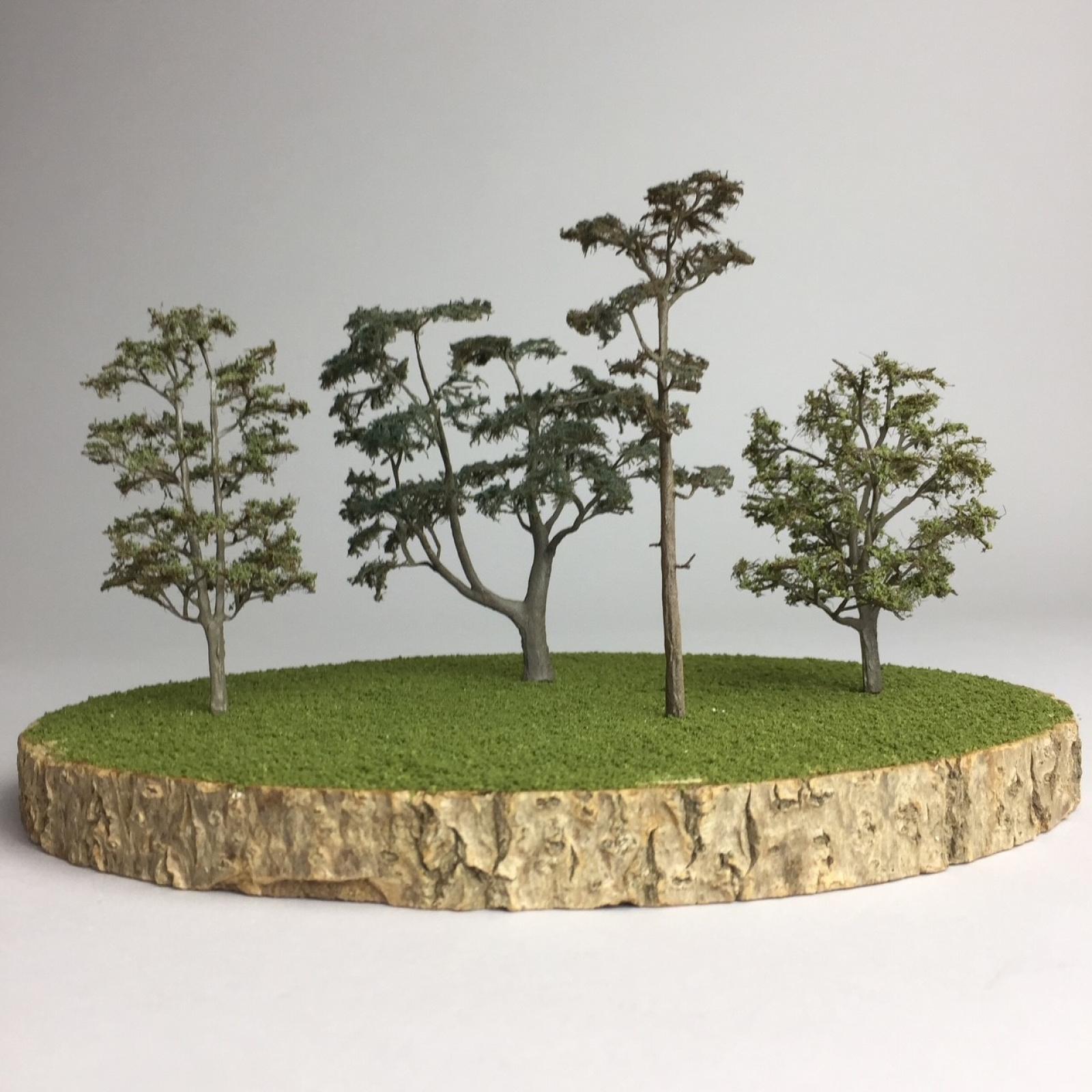 Arch60