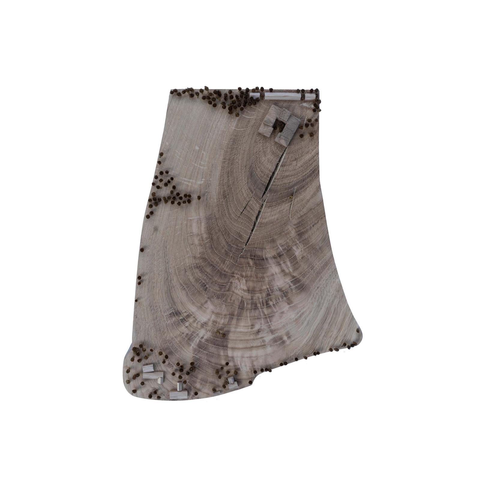 1:1000 Site model

European Oak building model and base.