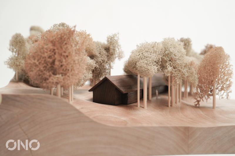 Water Farm Site Model