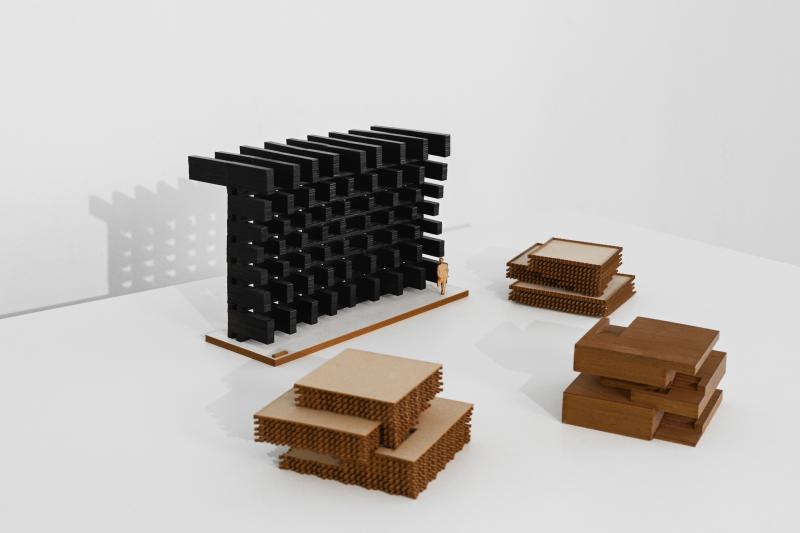 Set of Formal and Cladding studies for the archaeological museum in Rostock 