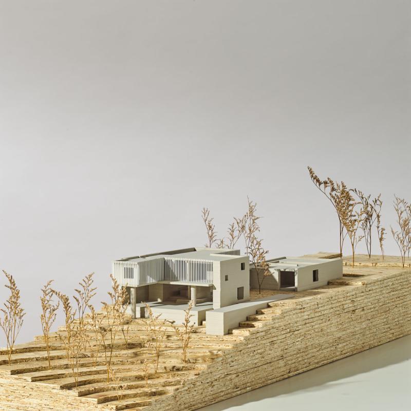 Tristan Burfield Models