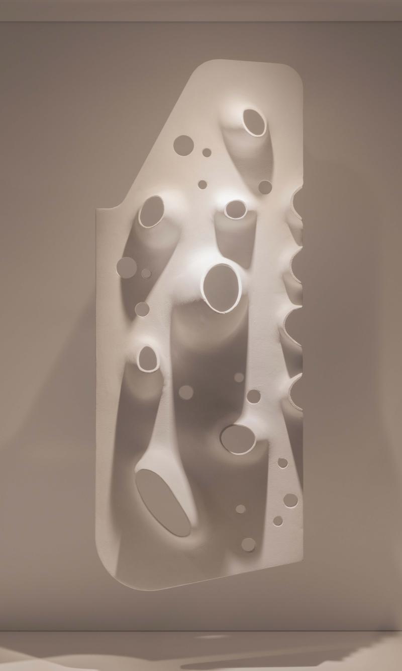 Roof proposal - Exhibit Model