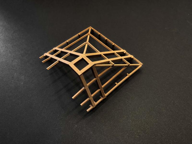 Roof proposal for seaside villas - Work Model