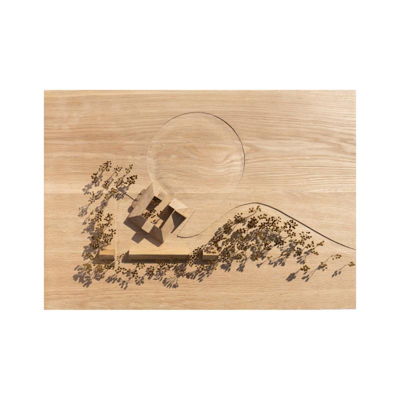 1:200 Building model

European Oak building model and carved landscape base.