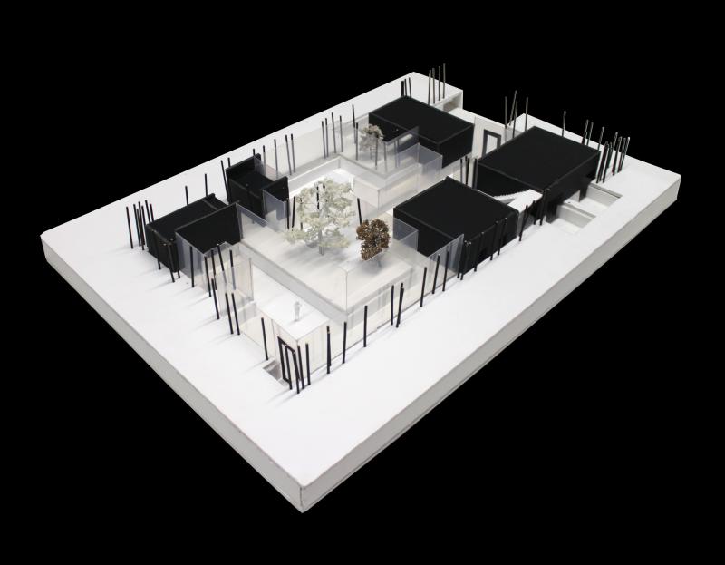 'House Through The Trees', foamboard, timber + acetate