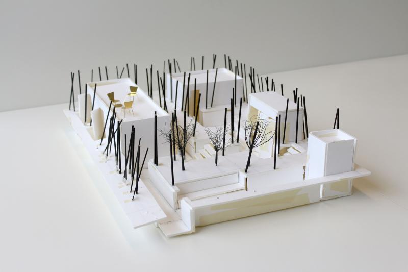 'House Through The Trees', foamboard + timber